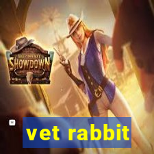 vet rabbit